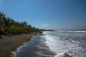 Trail Running Canada Magazine – The Coastal Challenge, Costa Rica Review