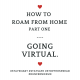“Roam from Home”: Going Virtual