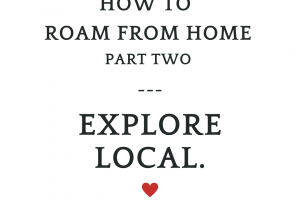 “Roam from Home”: Explore Local