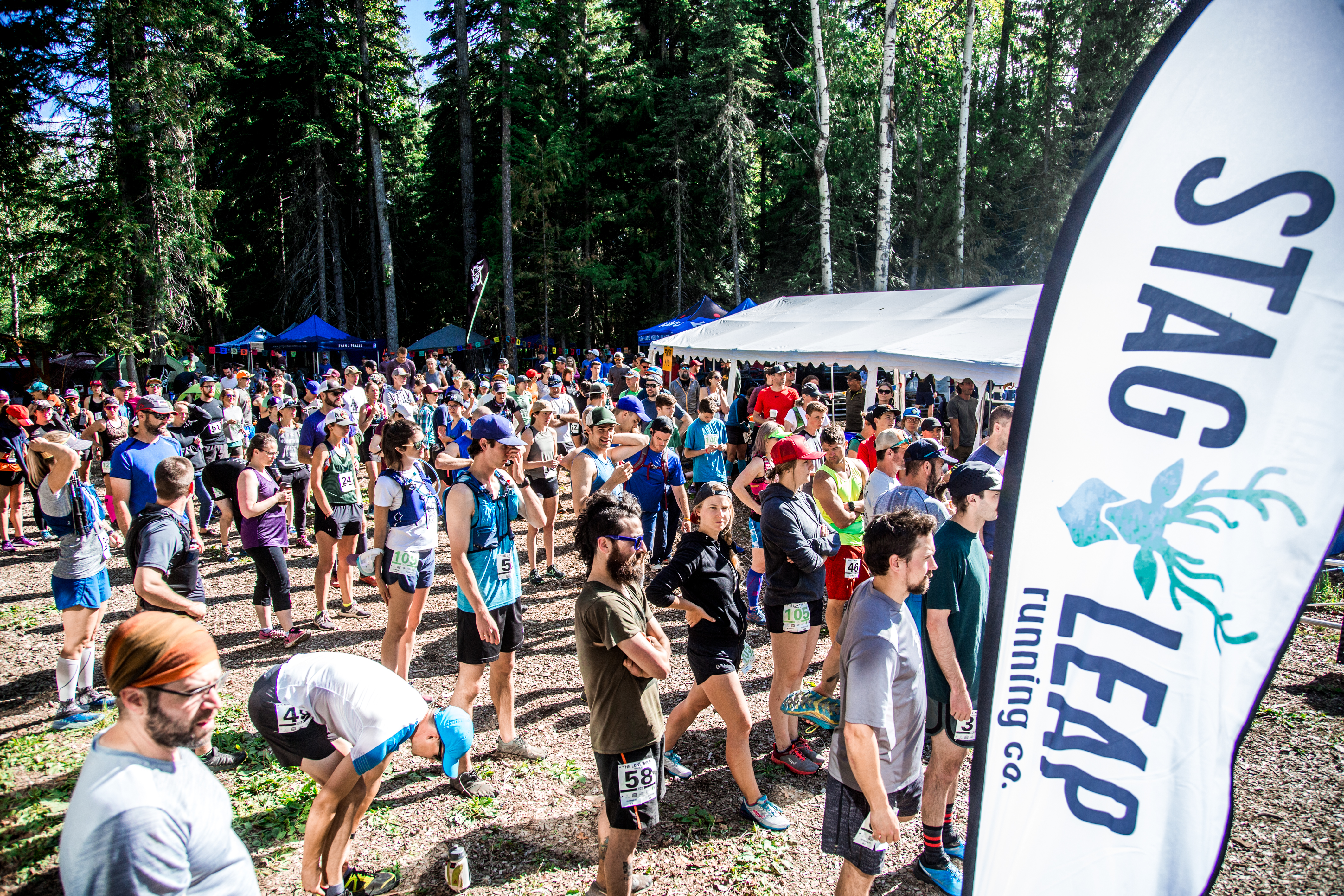 The Lone Wolf Stag Leap Running Co