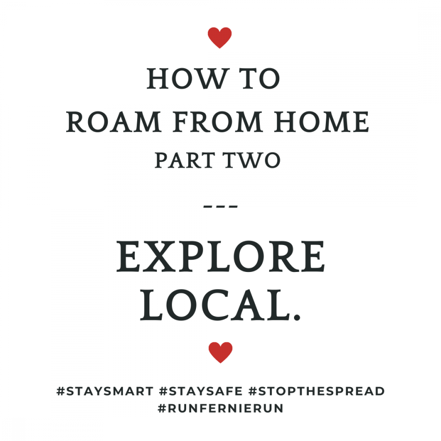 “Roam from Home”: Explore Local